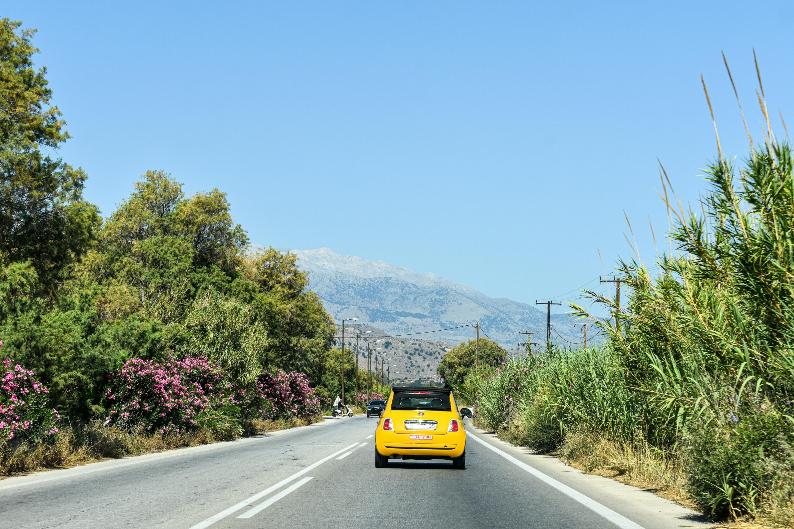 Why local rental companies are often the better choice