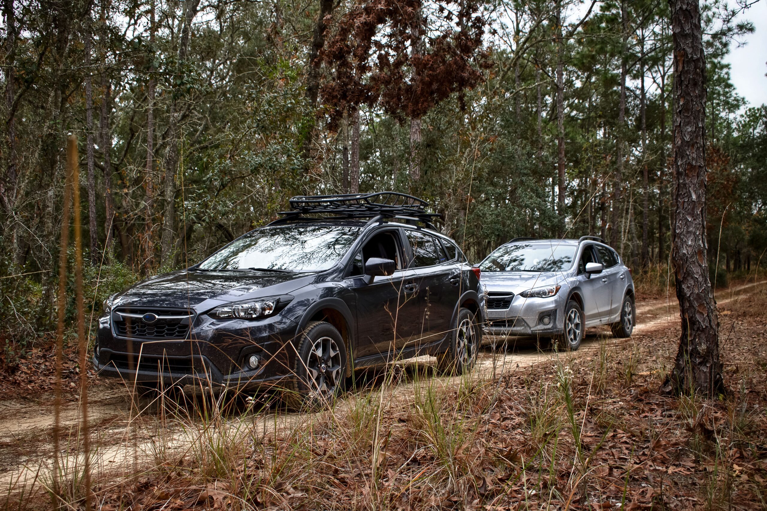 SUV convoy driving through a forest road, ideal for family travel, outdoor adventures, and group road trips