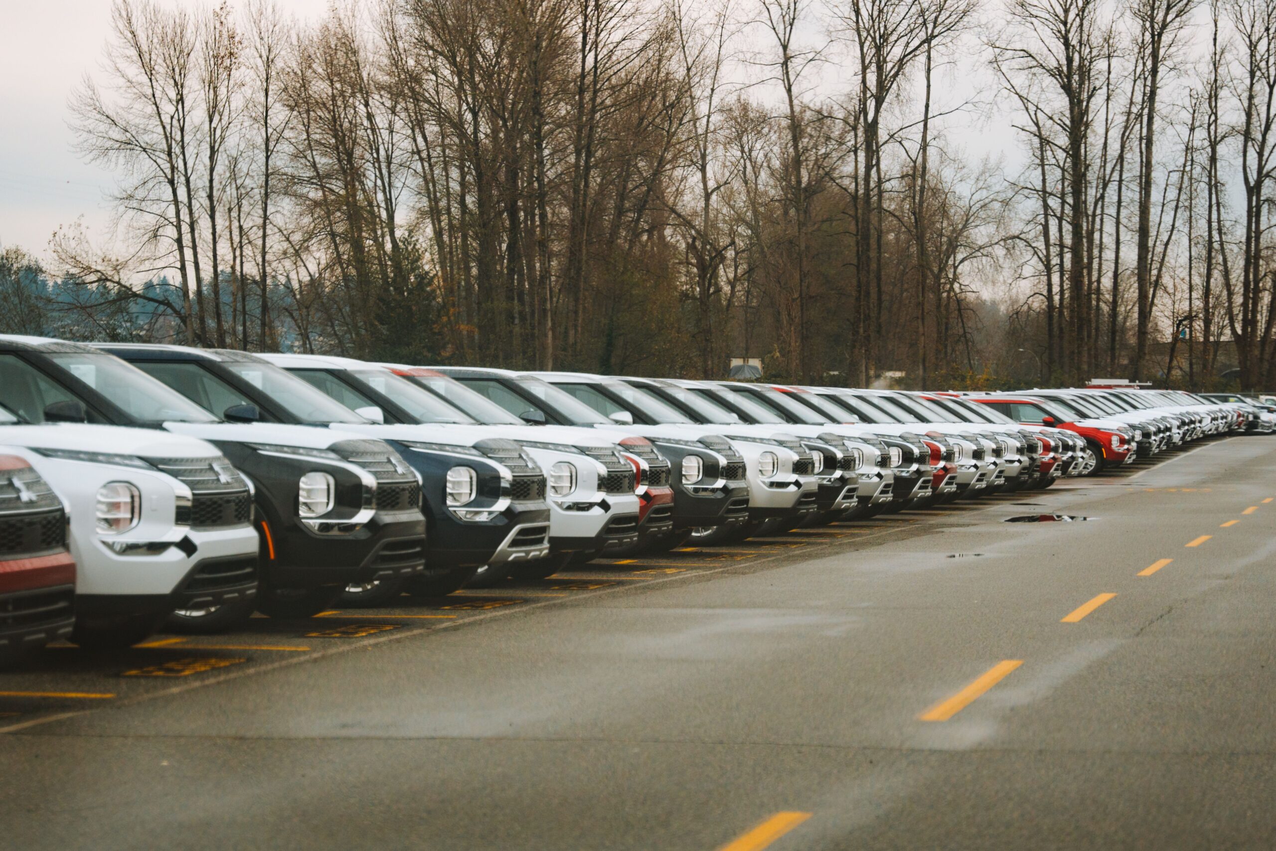 Rows of rental vehicles including sedans and SUVs parked at a Greenville rental lot